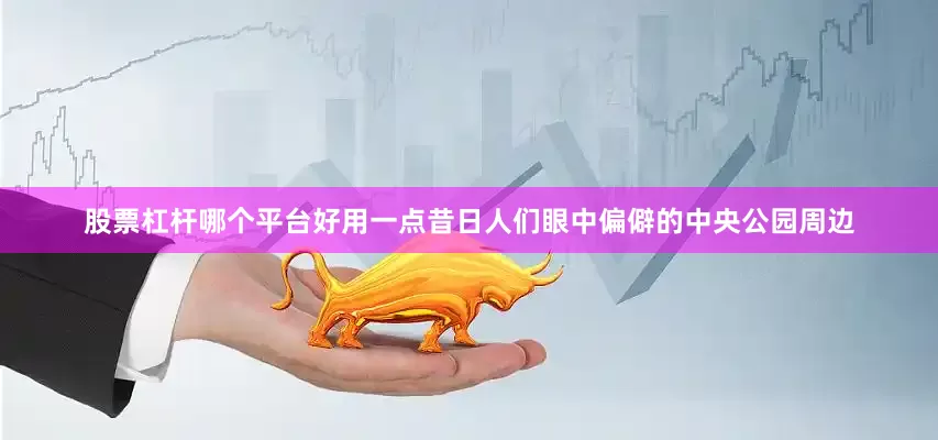 股票杠杆哪个平台好用一点昔日人们眼中偏僻的中央公园周边